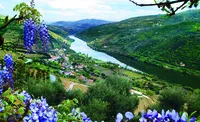 DOURO_PT_DouroRiverValley (1)