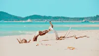 Desert Island