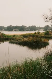 DSCF8117