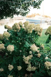 DSCF4259