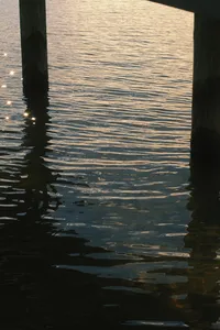 DSCF0622