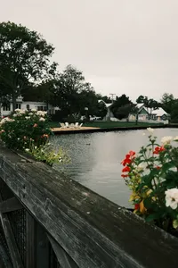 DSCF2824