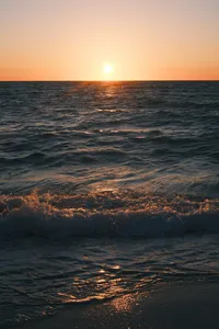 DSCF4380