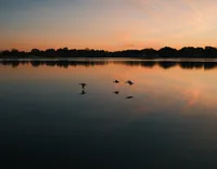 DSCF1522