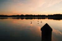 DSCF1425