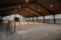 idala-hastklinik