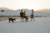 WS-38