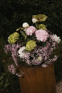 20260509_WEBSITE_NORMAL_002