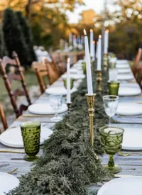 signature gatherings (2)