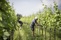 (c)Stroblhof Eppan_AlexFilz-9482