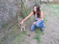 Africa2