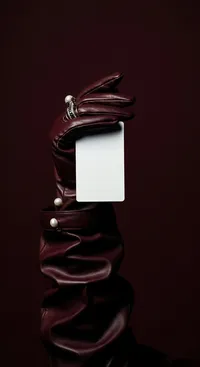 81_burgundy-belt-and-object