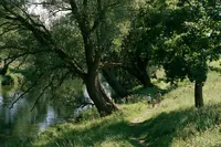 krista5123_Mother_and_children_following_a_narrow_path_beside_478b31b2-3410-40e4-b954-71d4324e54f5_2