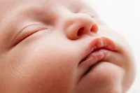memphis newborn photography by jen howell 208