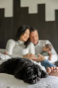 Newborn baby Kai held by parent during a lifestyle newborn session