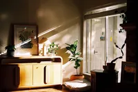 Light pouring in from a large window in conroe texas