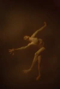 HWF.thefool