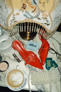 alice11