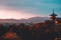 su-san-lee-E_eWwM29wfU-unsplash