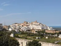 TravelRoamedTravelAgency17