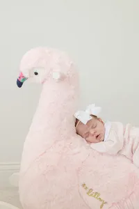 Newborn baby posed in a flamingo prop