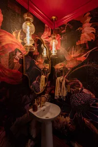 powder-room-moody-redesign