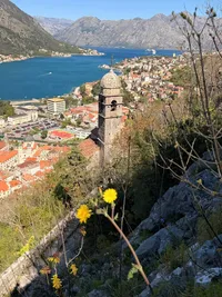 TravelRoamedTravelAgency28