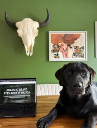 harvey-in-the-office