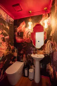 powder-room-moody-redesign-2