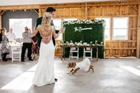 Pittsburgh-Wedding-Planners-Mack-and-Jack-Events162