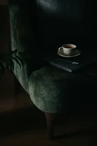 a white tea cup and plate resting on a stack of books, on top of a dark green velvet chair