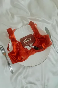 alice15