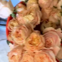 AdamsFloralCreations_CharlestonFlorist_14