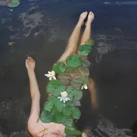 cosmos_27413478