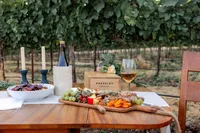 nicolehodgsonphotography_brand_pressley-40