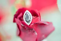 Megan+Steven-27