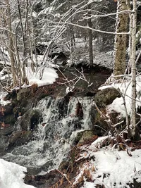 Brook flowing through snow-covered woods at Brookside Retreat