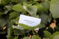 nicolehodgsonphotography_brand_pressley-53