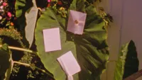 Wedding videography still of pink escort cards or envelopes displayed on green foliage