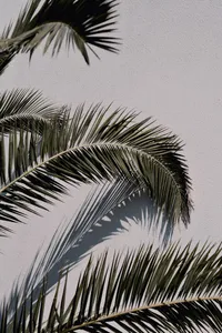 content-pixie-XC_5LFrWvyo-unsplash