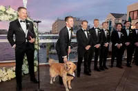 Reeds-Stone-Harbor-Wedding-At-The-Beach-All-About-Events-Zaun-DiCicco-079