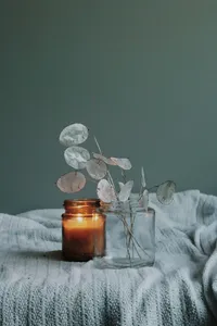 jessica-mangano-s28zROuPH7o-unsplash