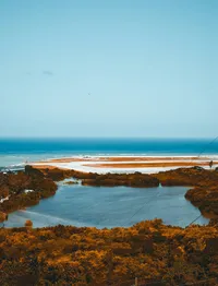 cody-campbell-7Zq02V5Mfpk-unsplash
