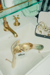 alice6