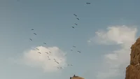 Wedding videography still of dramatic rocky coastal landscape with clear blue sky and birds flying