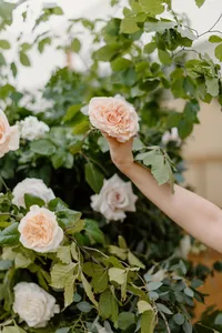Marquee wedding flowersPhotography-159