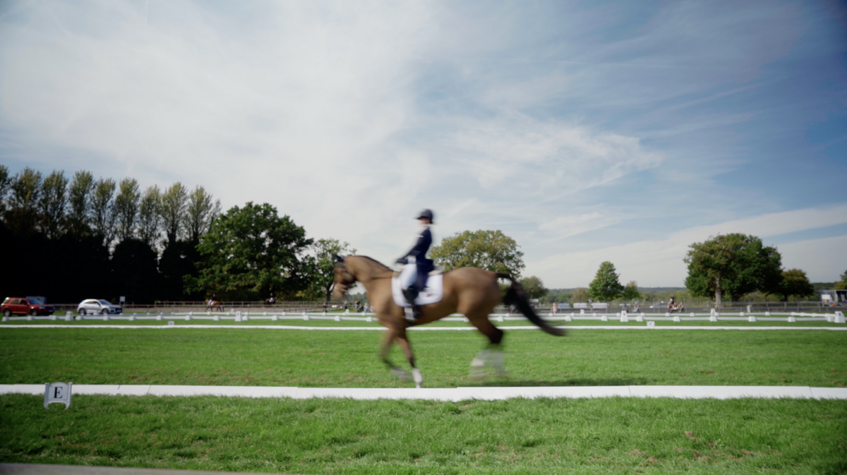 A rider in the dressage arena