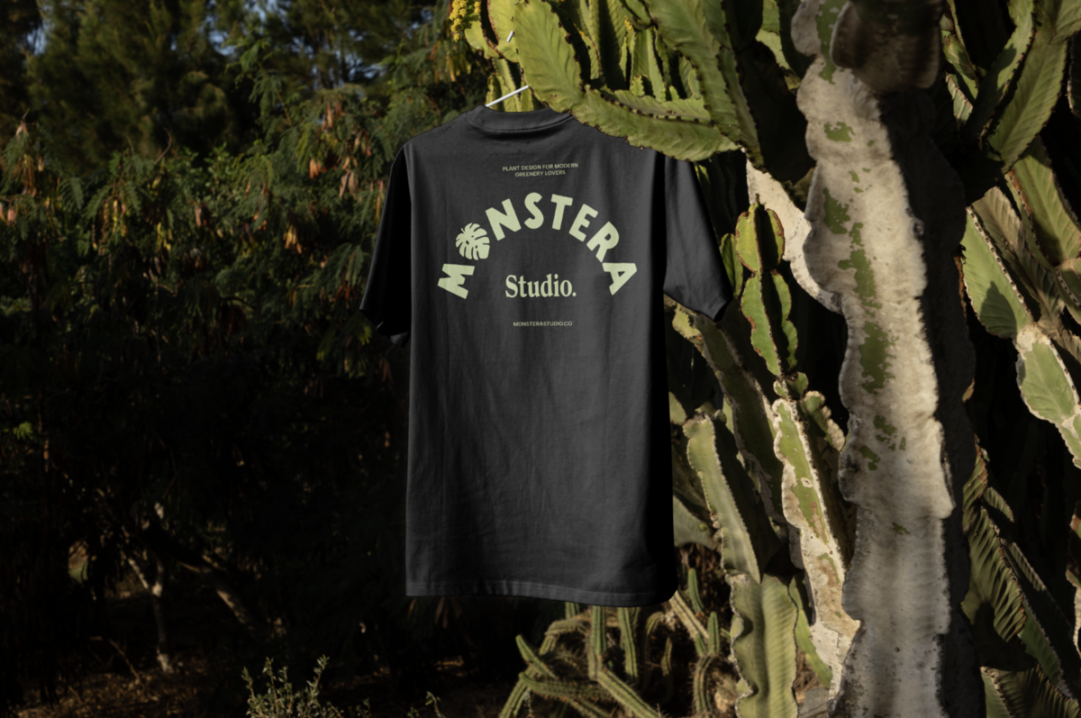MONSTERA STUDIO