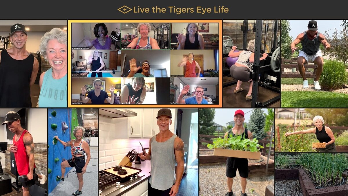 Tigers Eye Life community collage