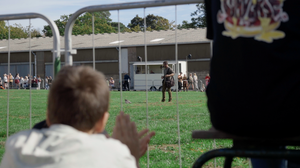 Watching the falconry display